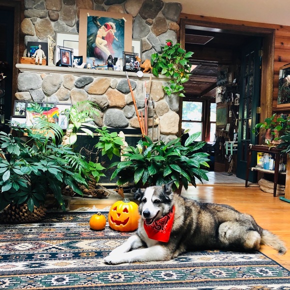 Meet your Posher, Karen - Picture 16 of 16